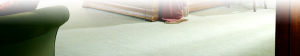 Home Town Carpet Care Is Your Carpet & Flooring Experts Call Today 616